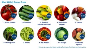 Most Widely Grown Crops