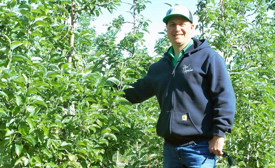 An Apple Empire Grows Strong in New York State