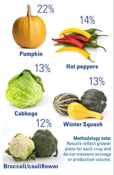 Crops on the Decrease