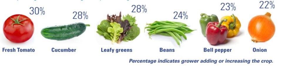 2026 State of the Vegetable Industry graphic on established crops that are growing