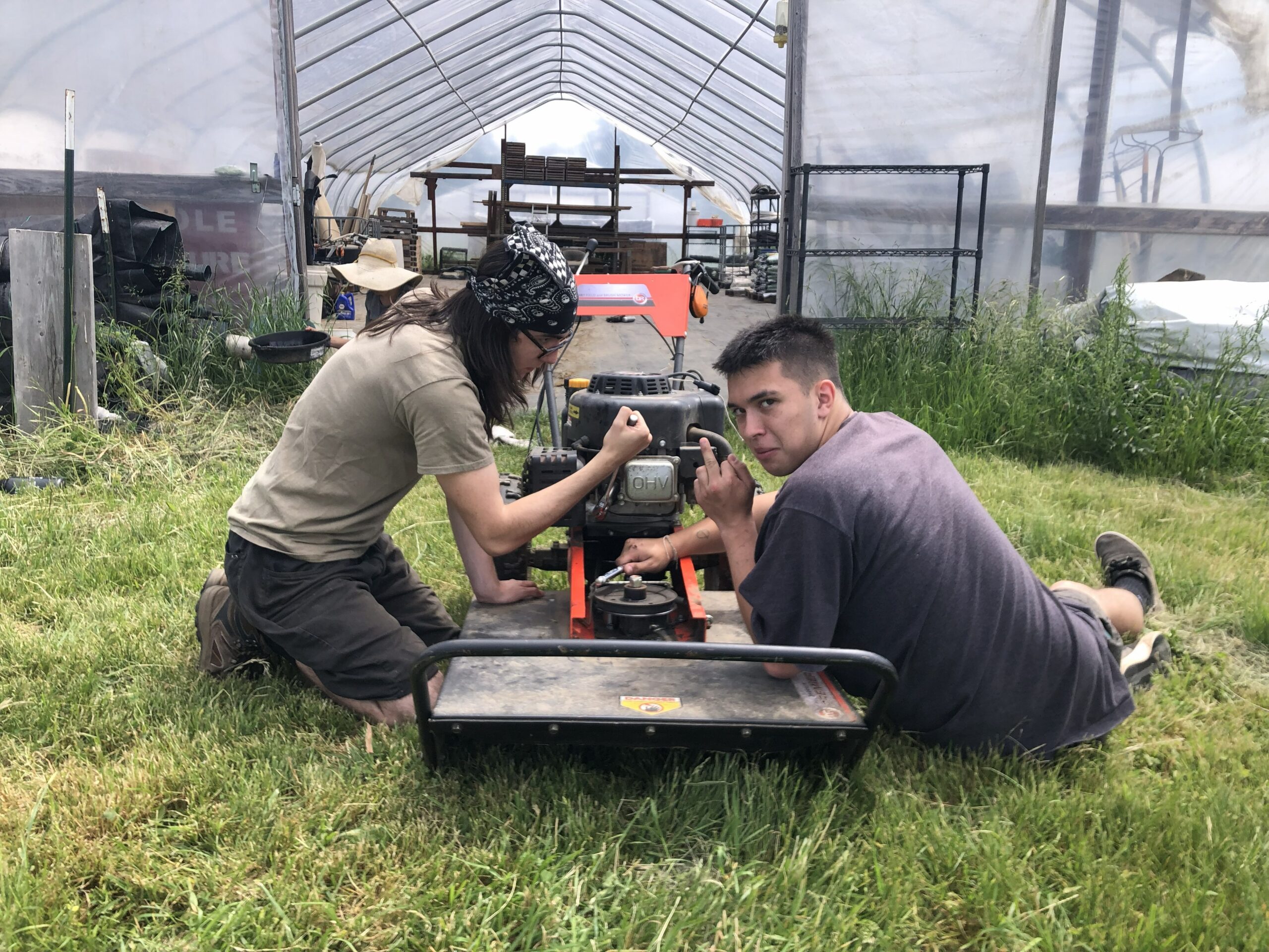 DR Power Pro Max 34 mower at Working Theory Farm