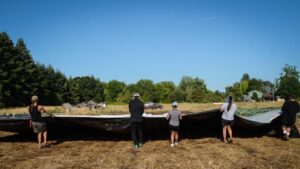 How Simple Tools Make a Big Impact at Working Theory Farm