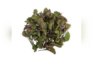 Unicorn (Johnny's Selected Seeds