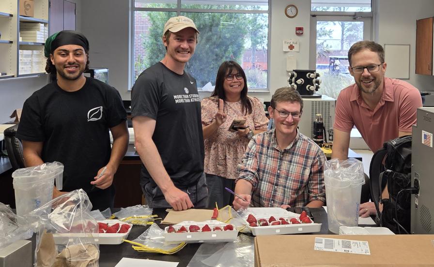 UF/IFAS strawberry breeding team