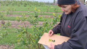 How To Make Every Nutrient Count in Your Orchard