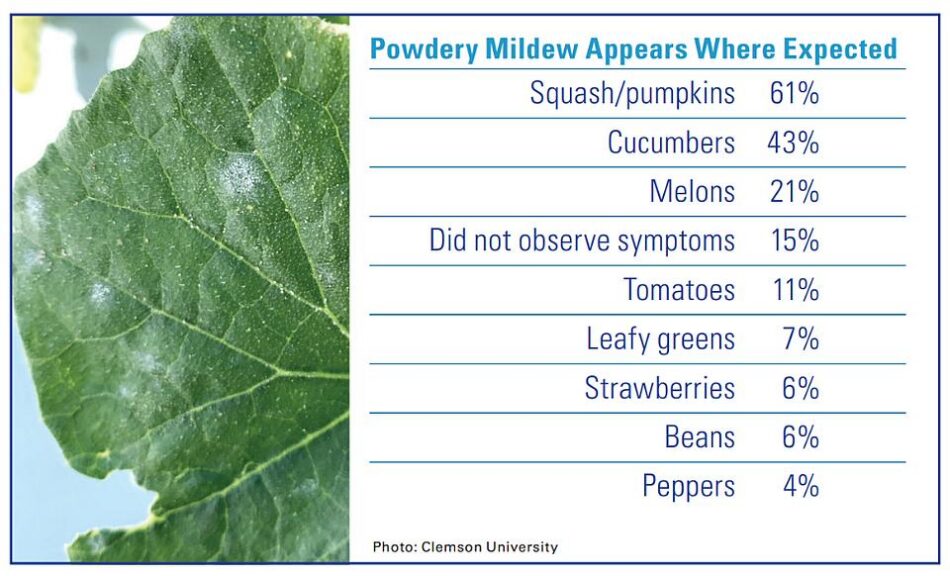 Powdery Mildew Impacts