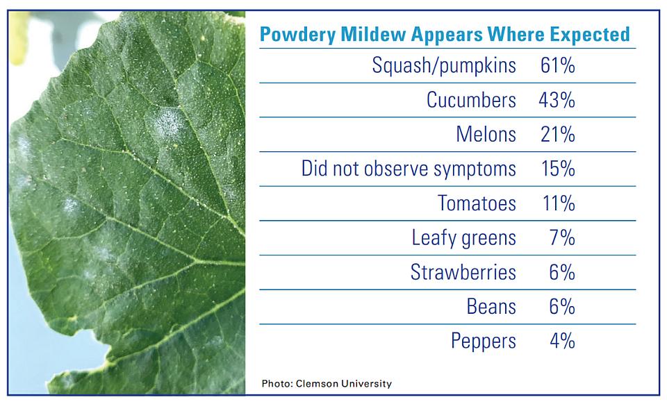 2026 AVG SOI powdery mildew crops graphic