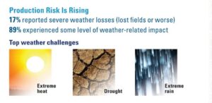 Production Risks