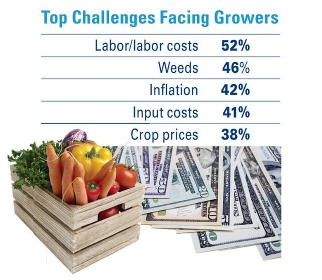 Your Top Challenges