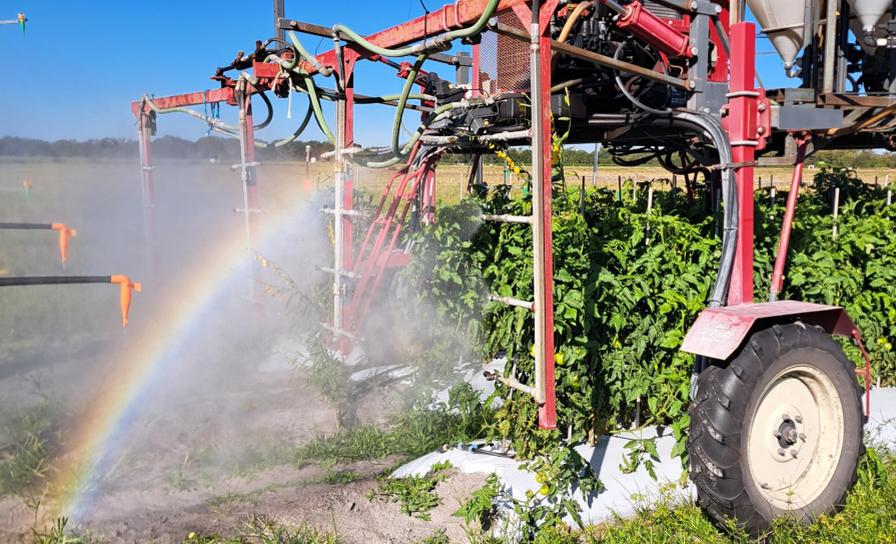 sprayer in tomato field for bacterial spot