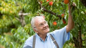 Apple Industry Loses Visionary Orchardist and Champion in Henry Chiles