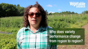 Video: Digging Into the Core Value of Vegetable Variety Performance