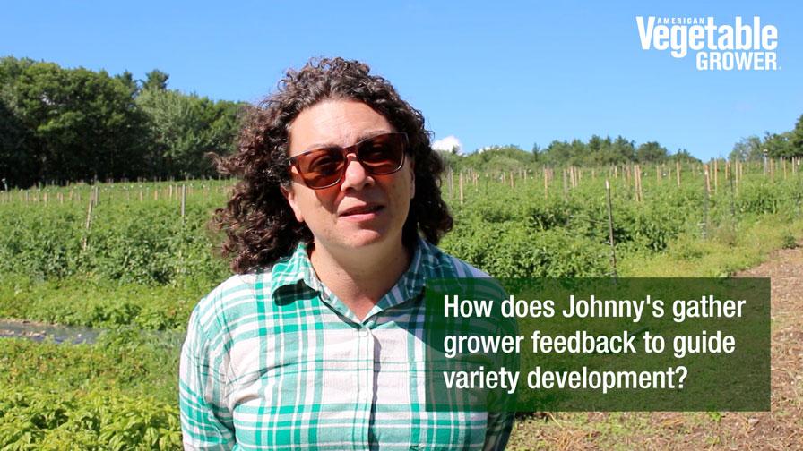 Video: How Grower Feedback Is Vital To Shaping New Vegetable Varieties