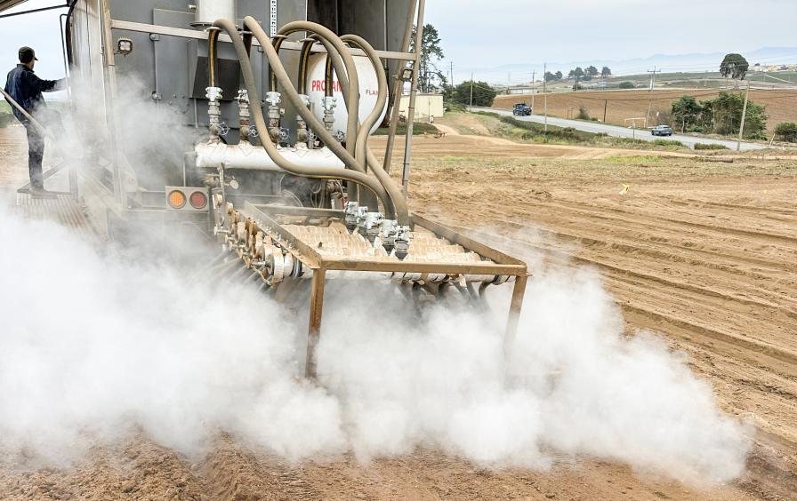 steam treatment machine in California strawberry field