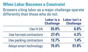 Labor Pains