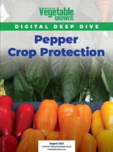 Digital Deep dive cover for Pepper Production 2026