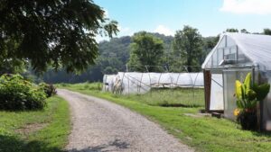Choosing the Right Structure for Your Protected Crops