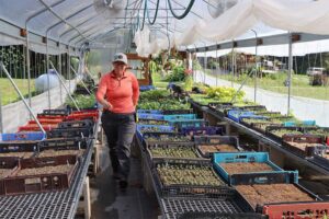 Happy Hollow Farm (Jamestown, MO)