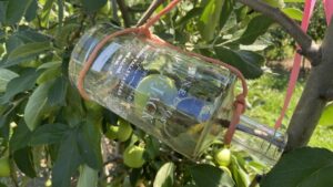 Fruitful Takeaways: 5 Things I Saw on the IFTA Summer Tour