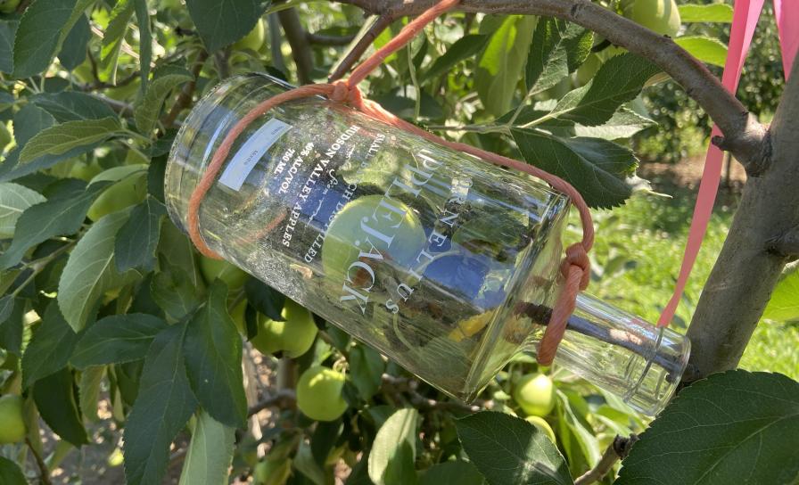 IFTA Summer 2026 tour featuring fruit grown in bottle at Harvest Spirits Distillery