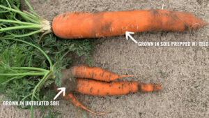 Don’t Wait for Nematode Damage to Show Up. Prep Belowground for Peace of Mind.