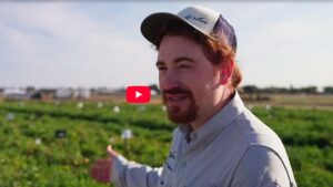 Video: Take in an Immersive Vegetable Growing Experience