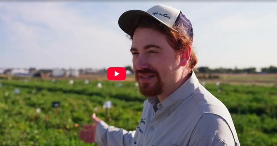 Video: Take in an Immersive Vegetable Growing Experience