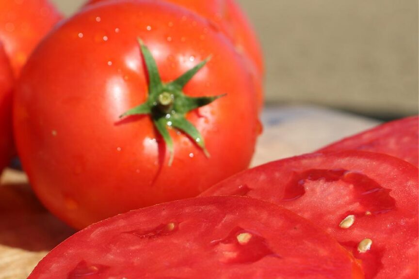 Big Beef Plus (Seminis Vegetable Seeds, Osborne Quality Seeds)