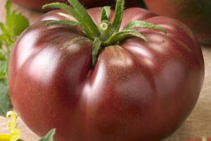 Chef's Choice Black F1 (Seeds by Design)