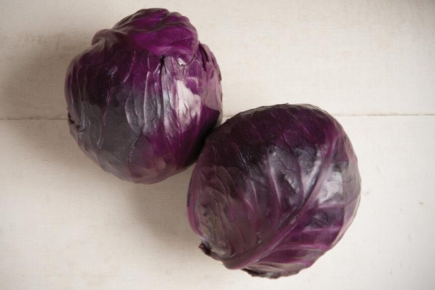 Integro (Johnny's Selected Seeds)
