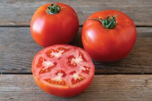 Unity (Johnny's Selected Seeds)