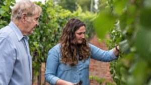 How Emeritus Vineyards Grows Opportunities with Diversification and Dry Farming