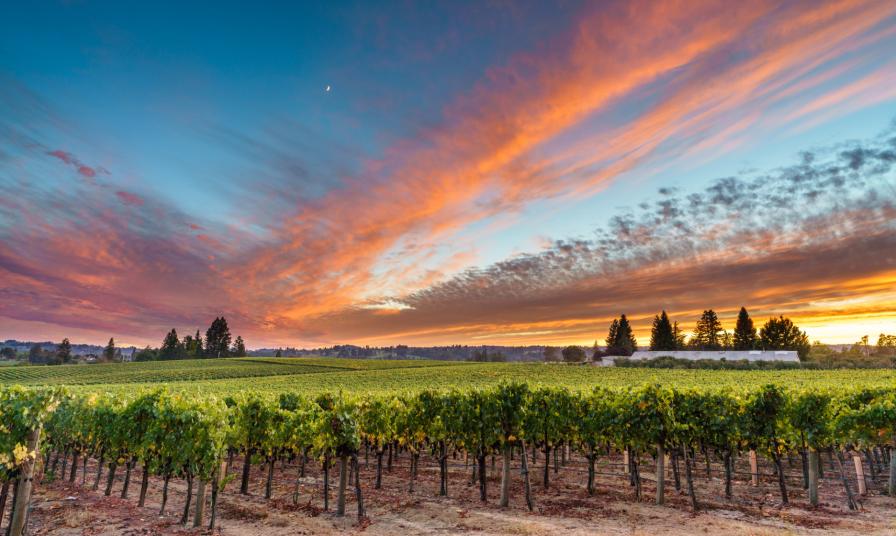 Emeritus Hallberg Ranch at twilight