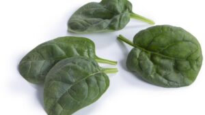 The Top Leafy Greens You’ll Want To Grow Now