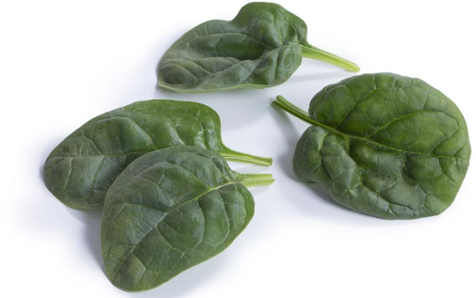 The Top Leafy Greens You’ll Want To Grow Now