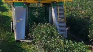 See Oxbo’s New AutoHarvest Technology for Berry Growers in Action