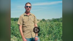 Vegetable Grower Perspective: Should You Pull That Weed? Maybe Not