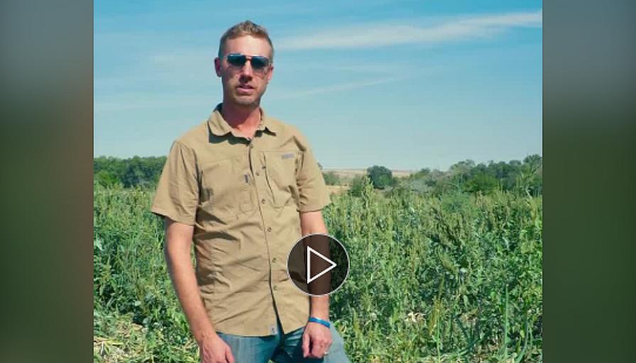 Vegetable Grower Perspective: Should You Pull That Weed? Maybe Not