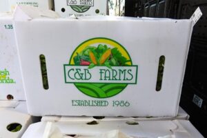 At a Glance: C&B Farms (Clewiston, FL)