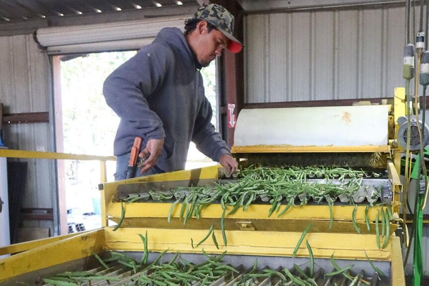 At a Glance: C&B Farms (Clewiston, FL)