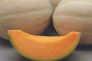 Athena (Syngenta Seeds, Osborne Quality Seeds)