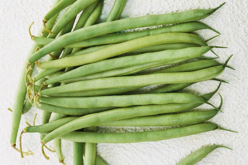 French Garden (Terra Organics)