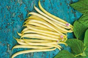 French Garden Yellow (Seeds by Design)