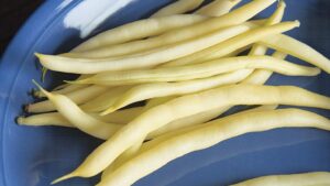 The Best Pole and Bush Bean Varieties You’ll Want To Grow Now