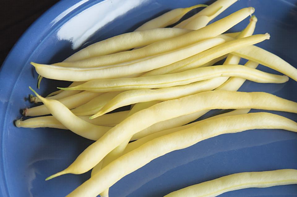 The Best Pole and Bush Bean Varieties You’ll Want To Grow Now