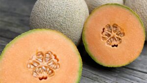 18 Cantaloupe and Other Melon Varieties to Grow Now