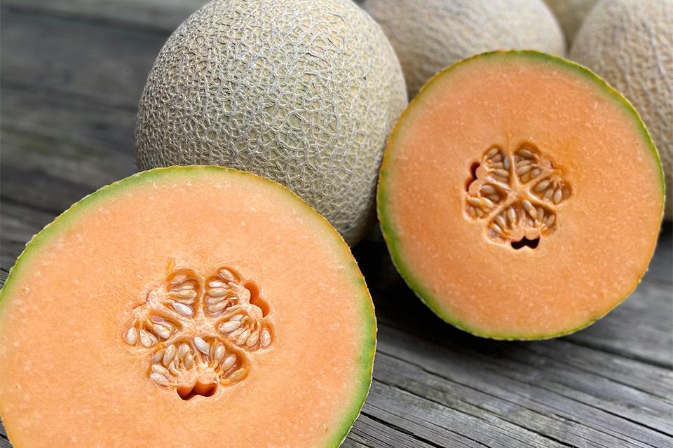 18 Cantaloupe and Other Melon Varieties to Grow Now