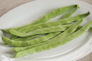 Northeaster (Johnny's Selected Seeds)