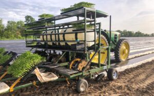Kennco Waterwheel Transplanter