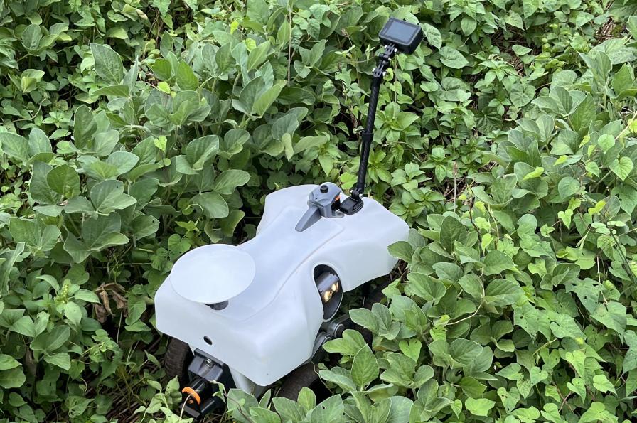 automated scouting robot